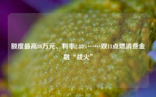 额度最高80万元、利率2.88%……双11点燃消费金融“战火”