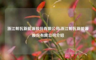 浙江帕瓦新能源股份有限公司,浙江帕瓦新能源股份有限公司介绍