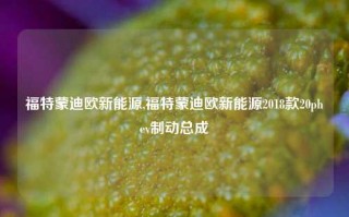 福特蒙迪欧新能源,福特蒙迪欧新能源2018款20phev制动总成