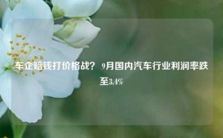 车企赔钱打价格战？ 9月国内汽车行业利润率跌至3.4%