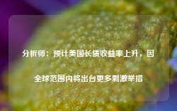 分析师：预计美国长债收益率上升，因全球范围内将出台更多刺激举措