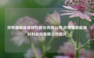 贝特瑞新能源材料股份有限公司,贝特瑞新能源材料股份有限公司图片