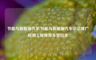 节能与新能源汽车,节能与新能源汽车示范推广应用工程推荐车型目录