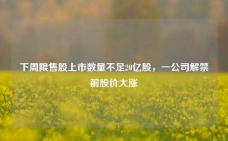 下周限售股上市数量不足20亿股，一公司解禁前股价大涨