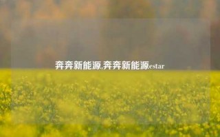 奔奔新能源,奔奔新能源estar