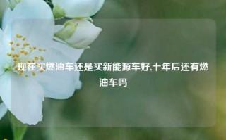 现在买燃油车还是买新能源车好,十年后还有燃油车吗