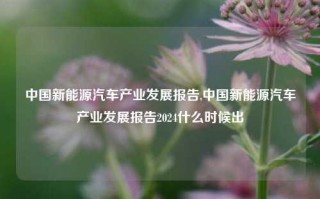 中国新能源汽车产业发展报告,中国新能源汽车产业发展报告2024什么时候出