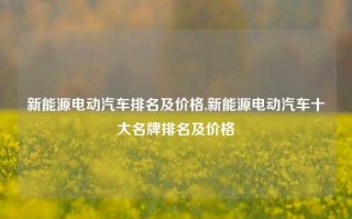 新能源电动汽车排名及价格,新能源电动汽车十大名牌排名及价格