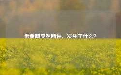 俄罗斯突然断供，发生了什么？