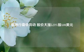 震坤行盘中异动 股价大涨5.21%报4.04美元