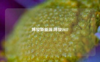 博骏新能源,博骏2022