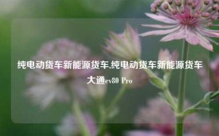 纯电动货车新能源货车,纯电动货车新能源货车大通ev80 Pro