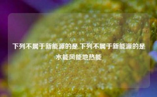 下列不属于新能源的是,下列不属于新能源的是水能风能地热能