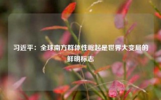 习近平：全球南方群体性崛起是世界大变局的鲜明标志