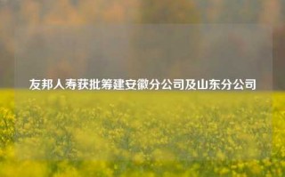 友邦人寿获批筹建安徽分公司及山东分公司