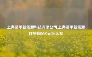 上海济平新能源科技有限公司,上海济平新能源科技有限公司怎么样