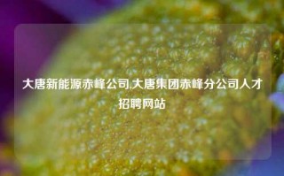 大唐新能源赤峰公司,大唐集团赤峰分公司人才招聘网站