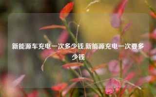 新能源车充电一次多少钱,新能源充电一次要多少钱