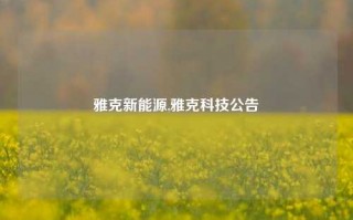 雅克新能源,雅克科技公告