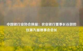 中国银行业协会换届：农业银行董事长谷澍担任第九届理事会会长