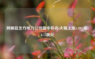 阿根廷北方电力公司盘中异动 大幅上涨5.39%报28.75美元