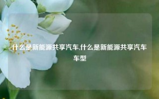 什么是新能源共享汽车,什么是新能源共享汽车车型