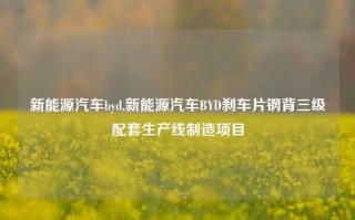 新能源汽车byd,新能源汽车BYD刹车片钢背三级配套生产线制造项目