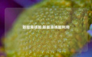 新能源核能,新能源核能利用