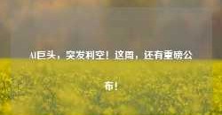 AI巨头，突发利空！这周，还有重磅公布！