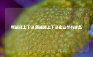 新能源上下游,新能源上下游企业都有哪些