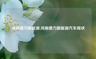 河南德力新能源,河南德力新能源汽车现状