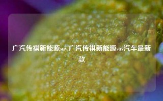 广汽传祺新能源suv,广汽传祺新能源suv汽车最新款