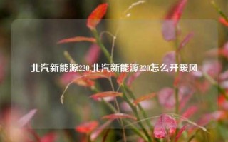 北汽新能源220,北汽新能源220怎么开暖风