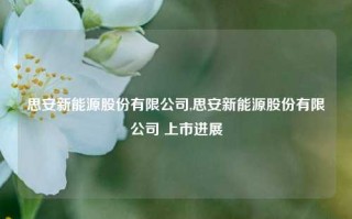 思安新能源股份有限公司,思安新能源股份有限公司 上市进展