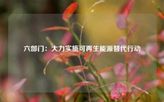 六部门：大力实施可再生能源替代行动