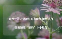 惠州一国企登报求购农商行股权 地方国资频频“加码”中小银行