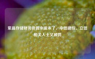 紫晶存储财务造假余波未了，中信建投、立信相关人士又被罚