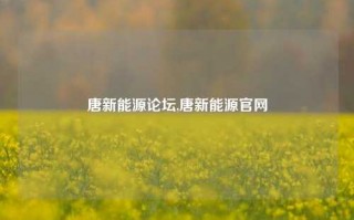 唐新能源论坛,唐新能源官网