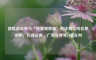 首批试点参与“跨境理财通”的证券公司名单出炉，招商证券、广发证券等14家在列