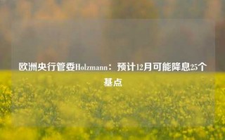 欧洲央行管委Holzmann：预计12月可能降息25个基点