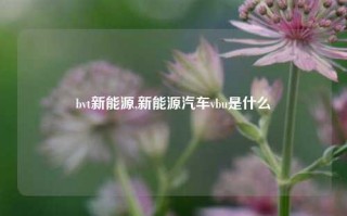 bvt新能源,新能源汽车vbu是什么