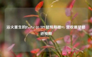 浴火重生的PayPal Q3 TPV超预期增9% 营收展望略逊预期