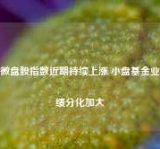 微盘股指数近期持续上涨 小盘基金业绩分化加大