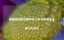 微盘股指数近期持续上涨 小盘基金业绩分化加大