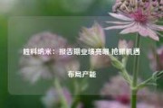 胜科纳米：报告期业绩亮眼 抢抓机遇布局产能