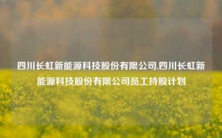 四川长虹新能源科技股份有限公司,四川长虹新能源科技股份有限公司员工持股计划