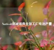 Northvolt削减瑞典北部工厂电池产量