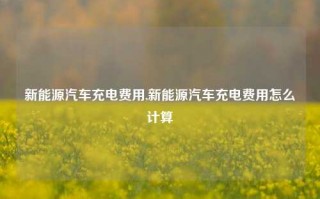 新能源汽车充电费用,新能源汽车充电费用怎么计算