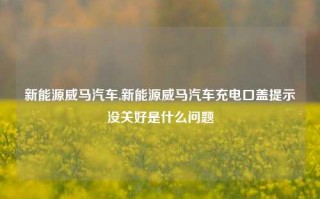 新能源威马汽车,新能源威马汽车充电口盖提示没关好是什么问题