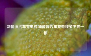 新能源汽车充电线,新能源汽车充电线多少钱一根